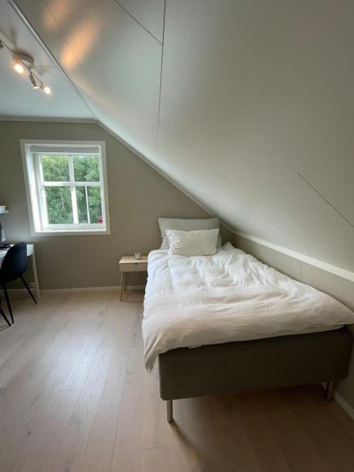 House With 5 Bedrooms, 2 Bathrooms, Available For Onss